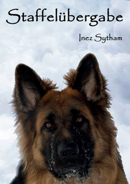 Buch 3
